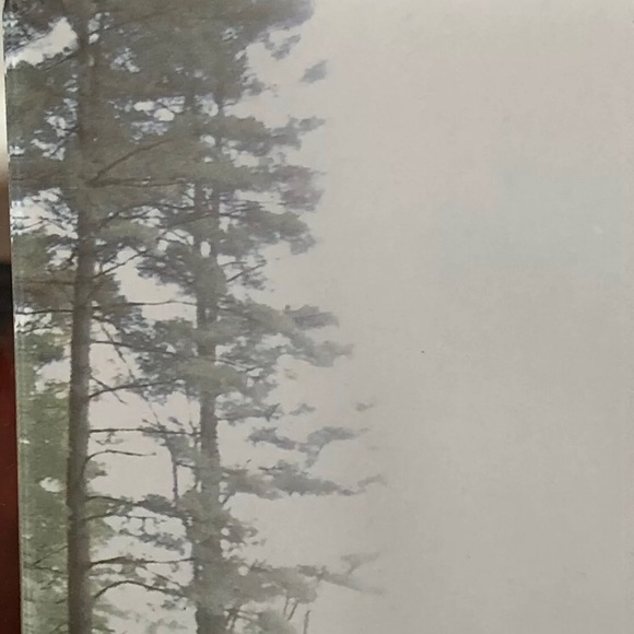 Desktop Publishing Papers Letterhead 25 Sheets - Picture 5 of 5